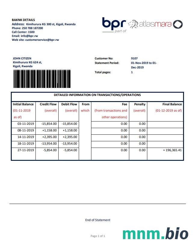 Russia Zenit wzór wyciągu bankowego w formacie Word i PDF